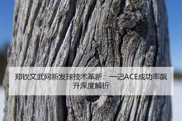 郑钦文武网新发球技术革新：一记ACE成功率飙升深度解析