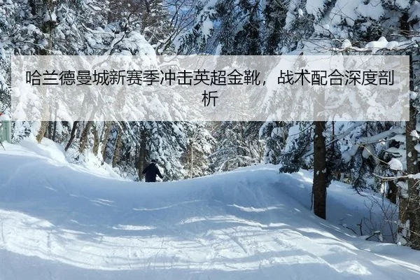 哈兰德曼城新赛季冲击英超金靴，战术配合深度剖析