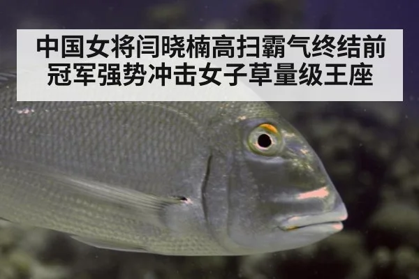 中国女将闫晓楠高扫霸气终结前冠军强势冲击女子草量级王座
